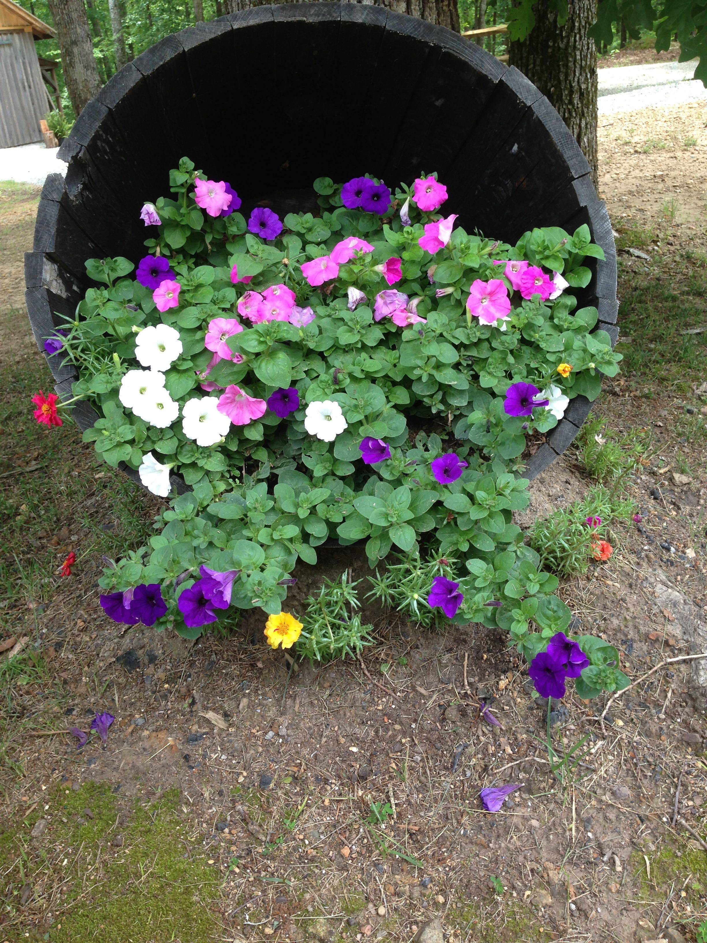 Pinterest Flower Beds