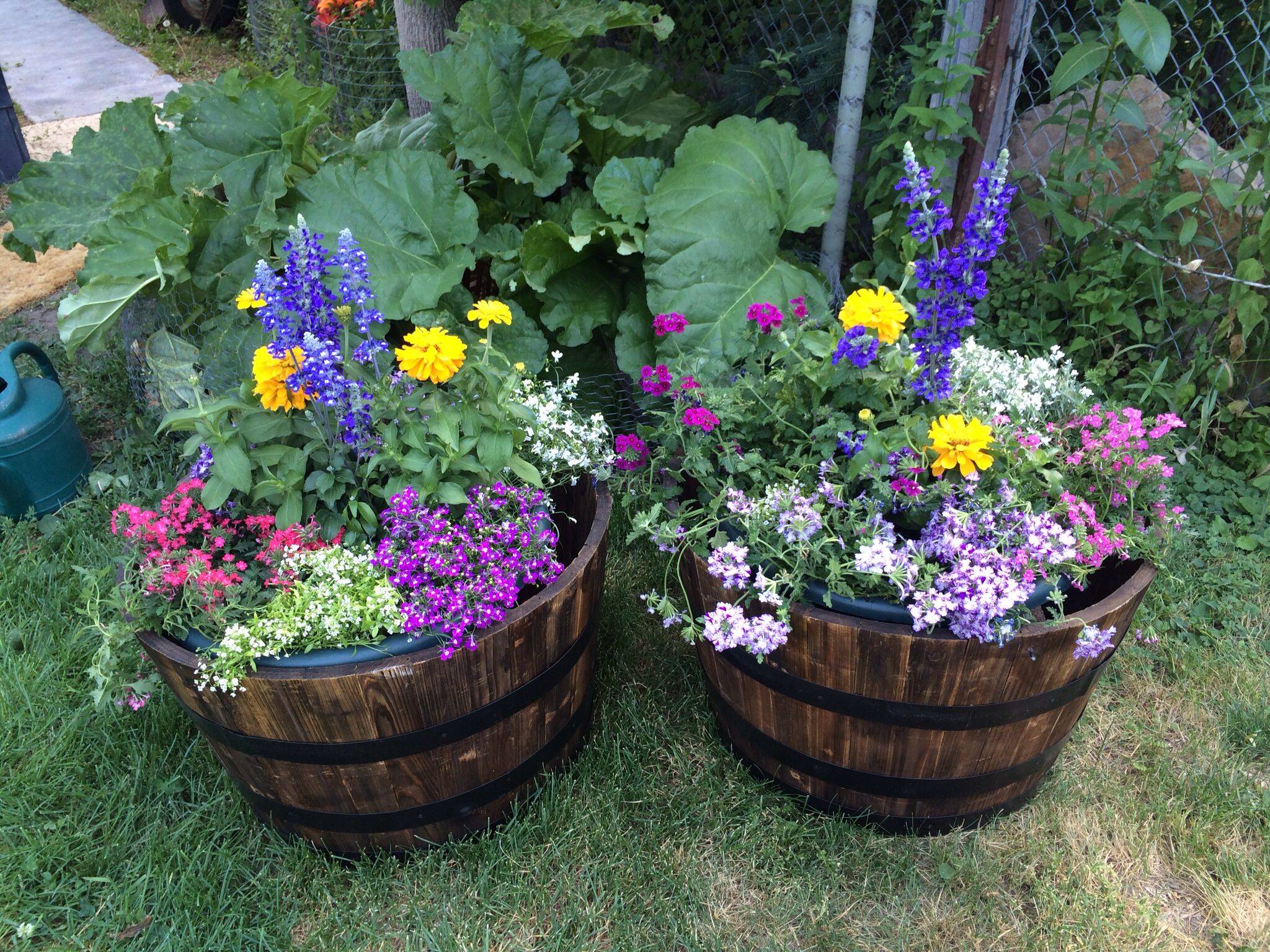 Whiskey Barrels Container Gardening