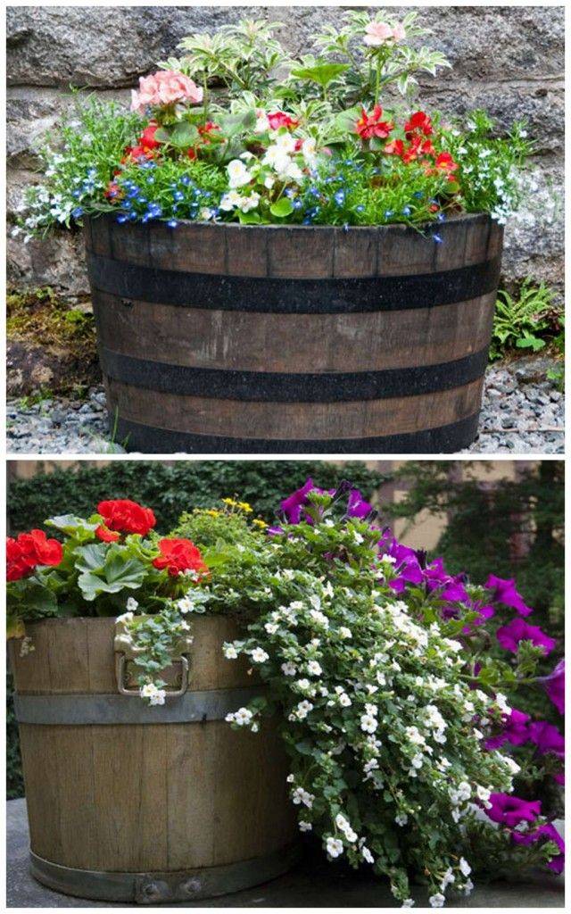 Whisky Barrel Planter