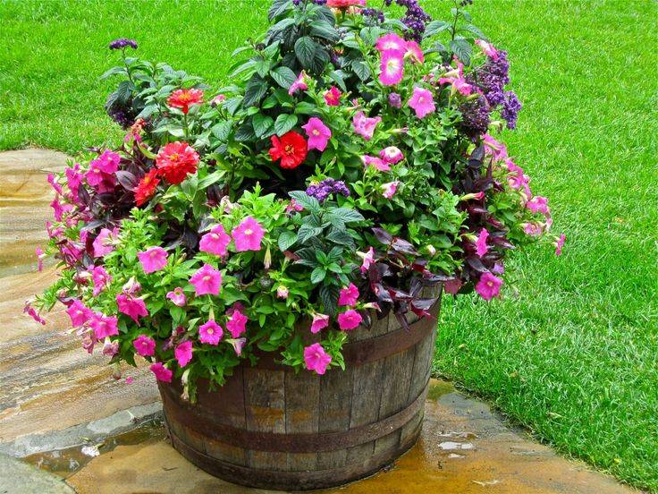 Parkview Terrace Backyard Landscaping Designs