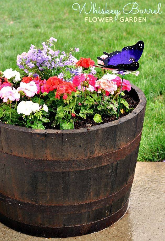 23 Whiskey Barrel Flower Garden Ideas Worth to Check SharonSable