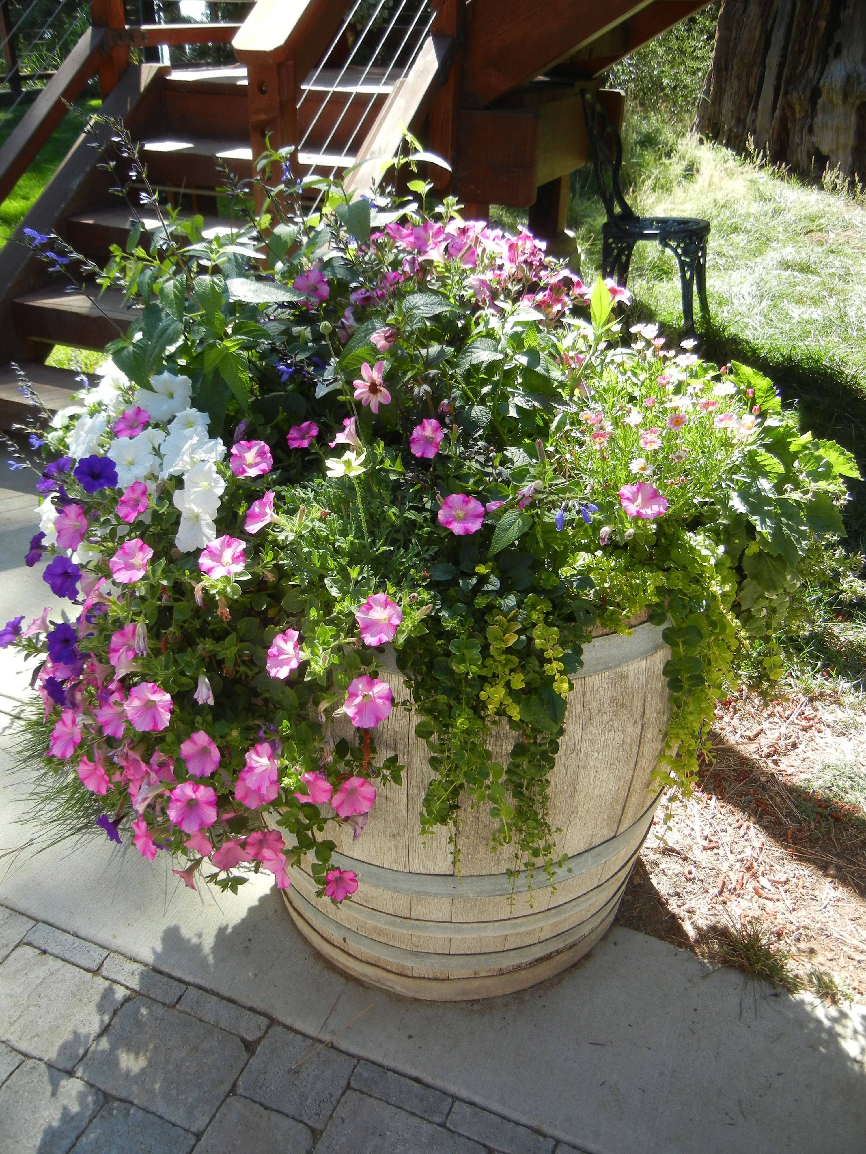 19 Wine Barrel Garden Ideas You Should Look SharonSable