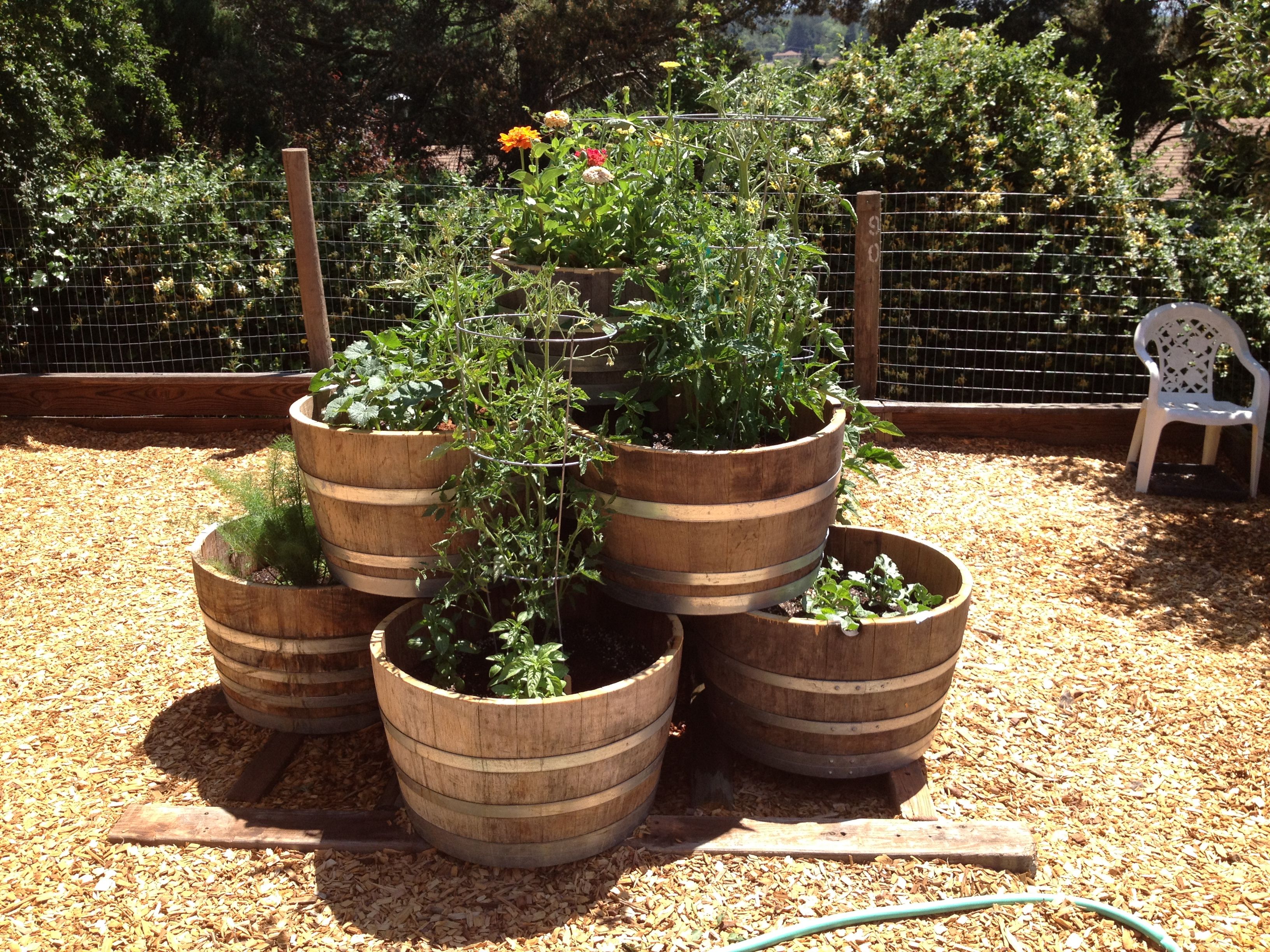 Wine Barrel Garden Ideas