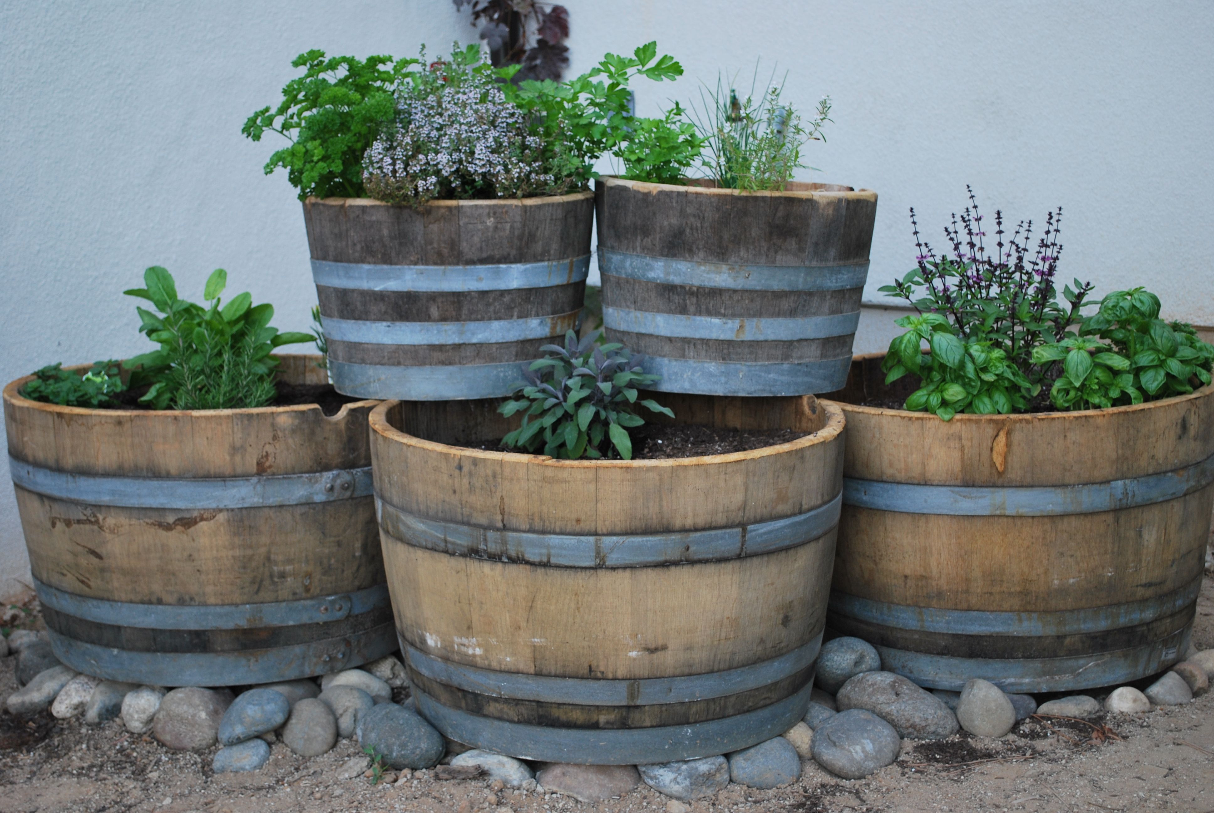 Wine Barrel Planter