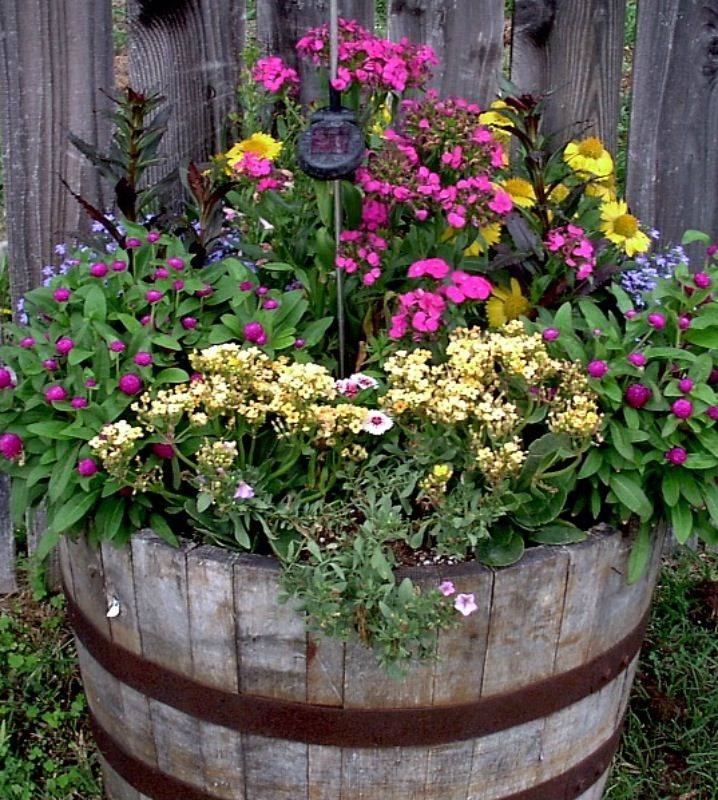 Best Whiskey Barrel Planters Images