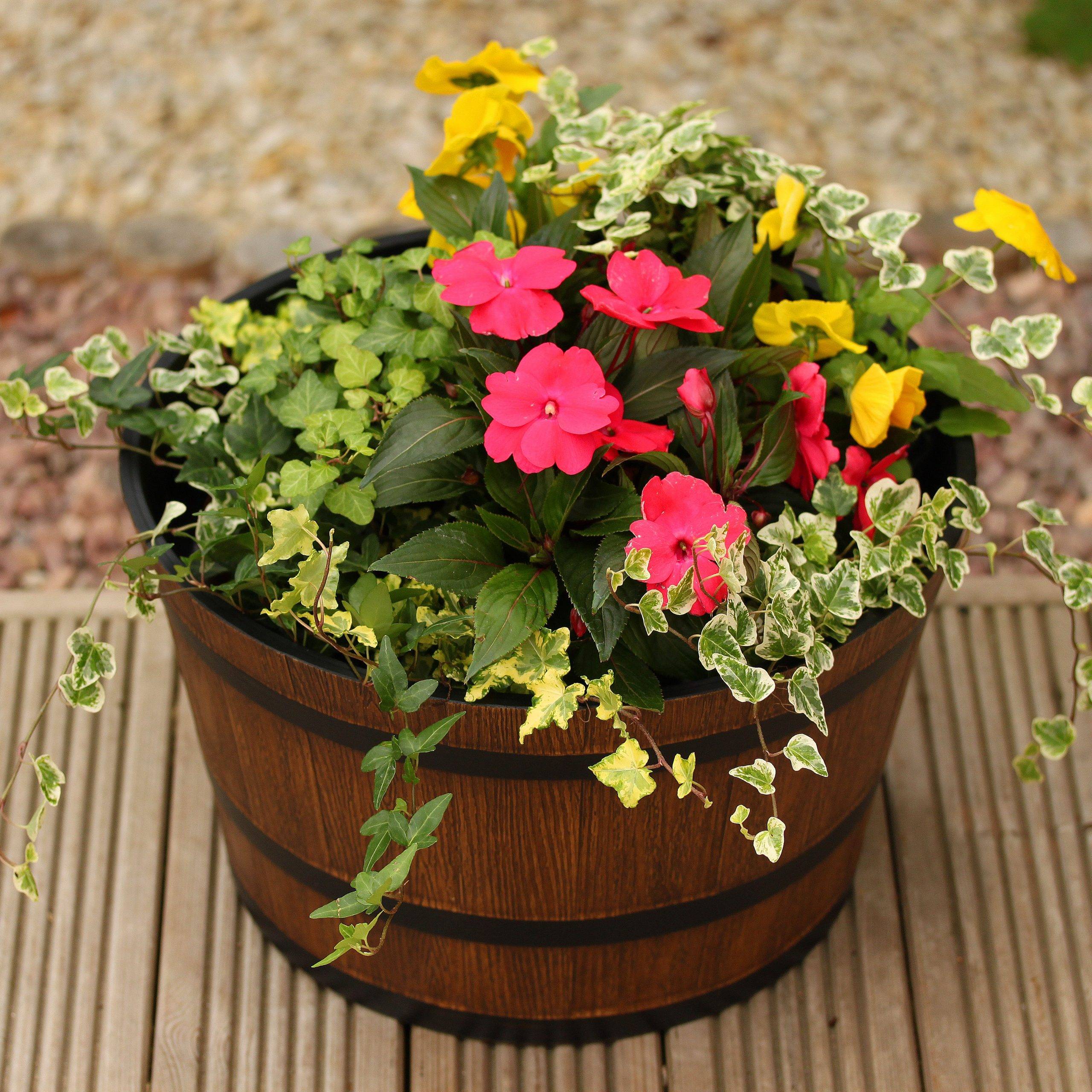 Stunning And Beautiful Flowers