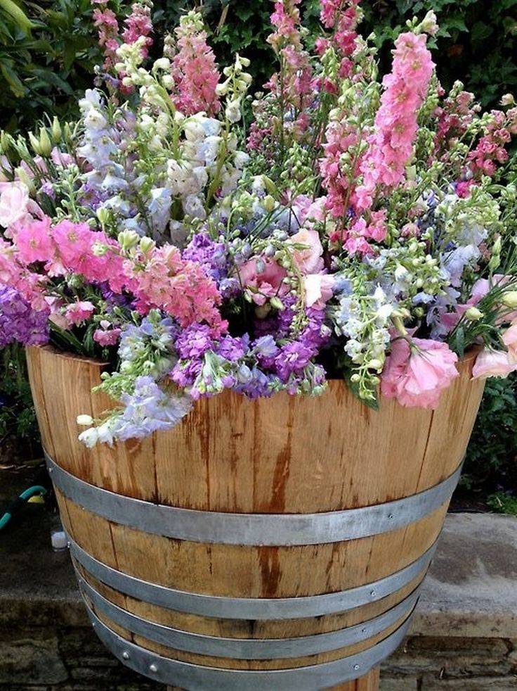 A Whiskey Barrel Planter