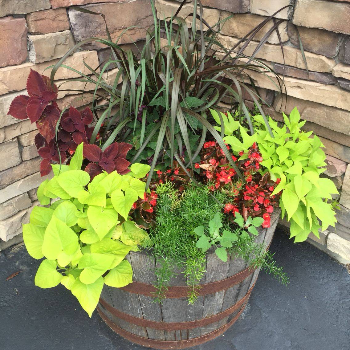 Barrel Planter Garden Ideas Photograph Whiskey Barrel Plan