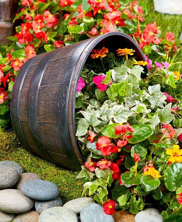 Whisky Barrel Planter