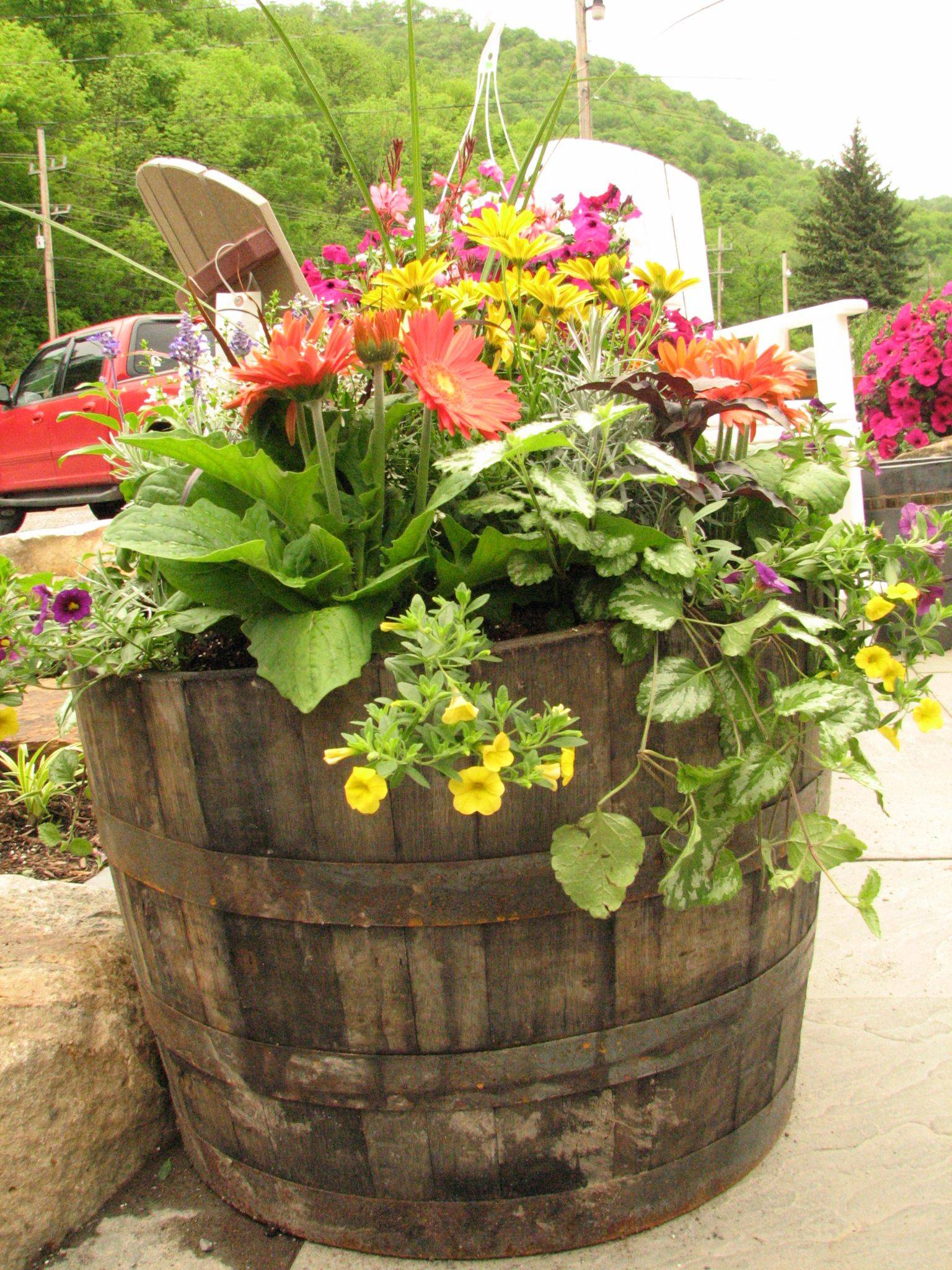 Outdoor Accessories Signature Hardware Whiskey Barrel Planter