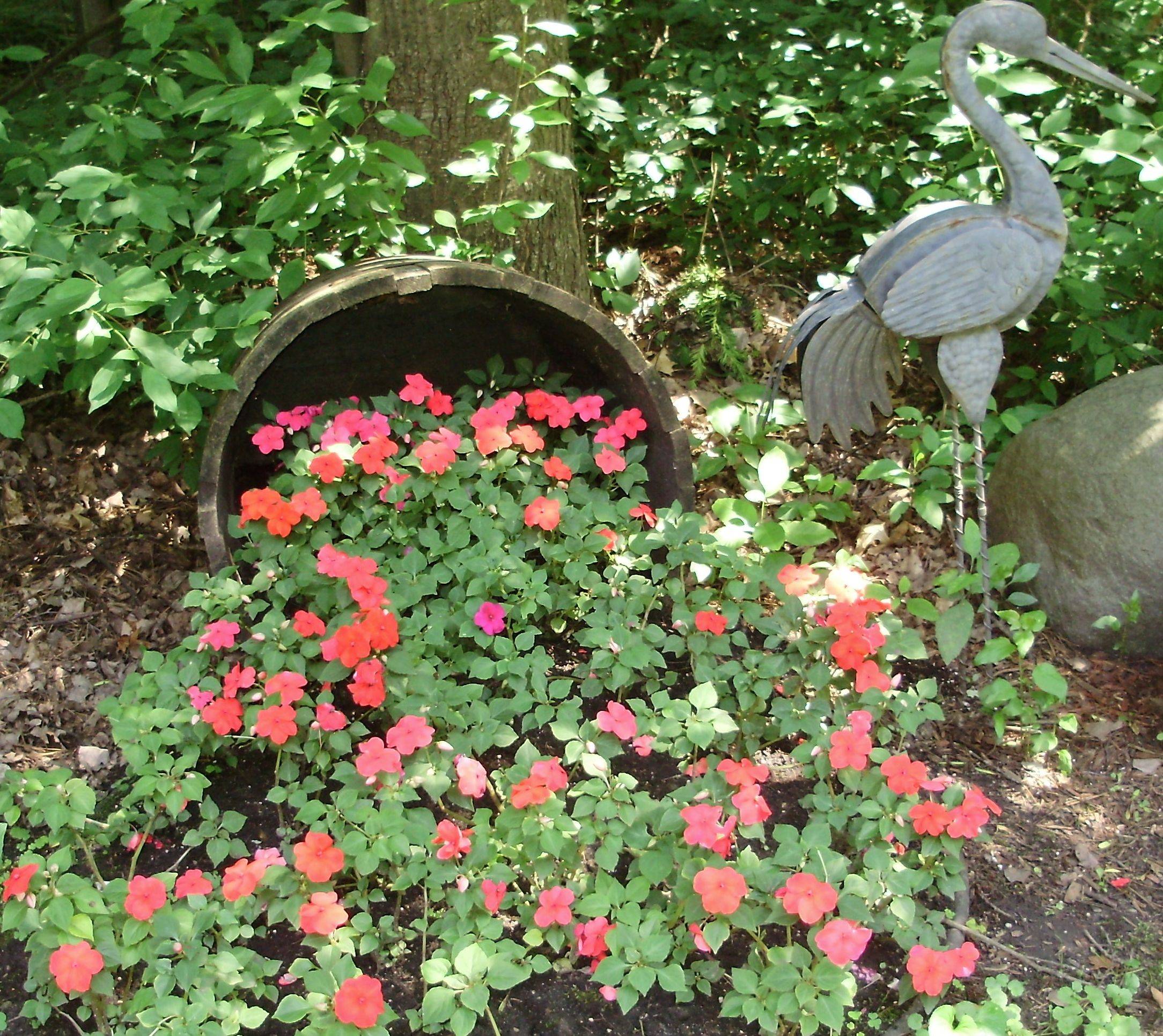 Best Wine Barrel Garden Ideas Gallery