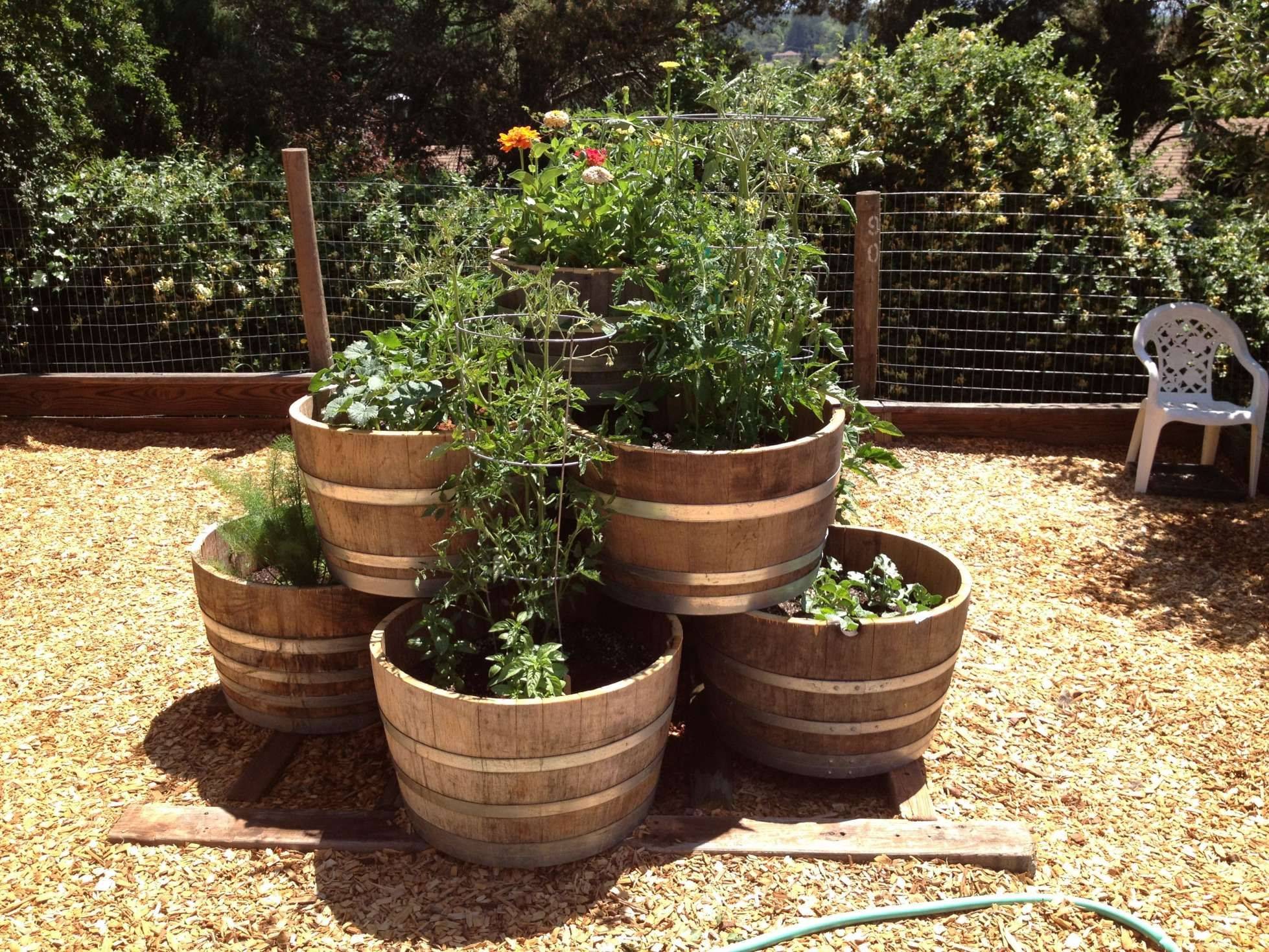 Pinterest Flower Beds