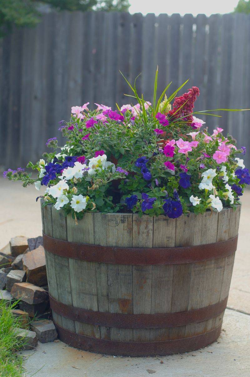 28 Whiskey Barrel Ideas for Garden To Consider SharonSable