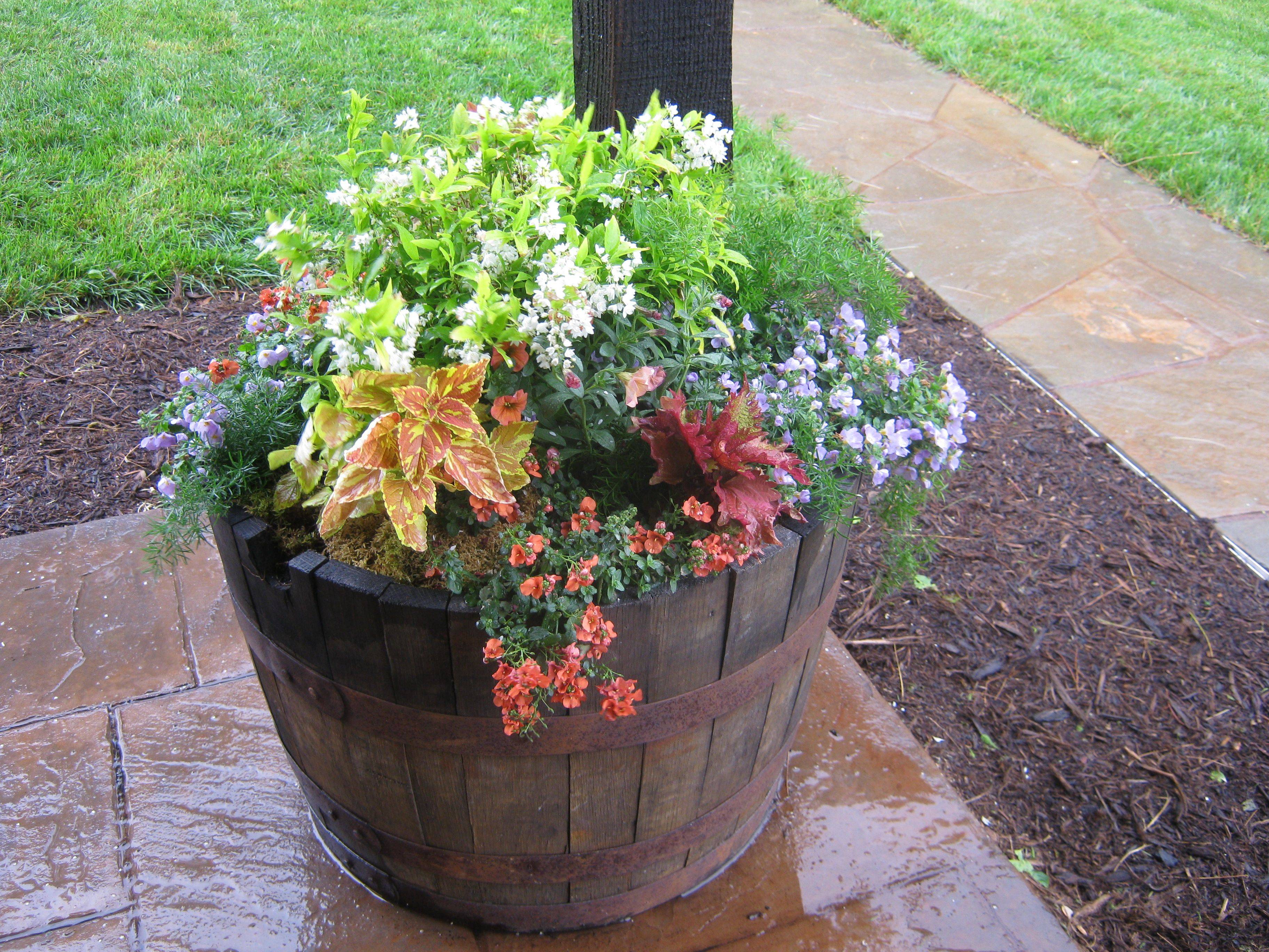 Backyard Whiskey Barrel Planter
