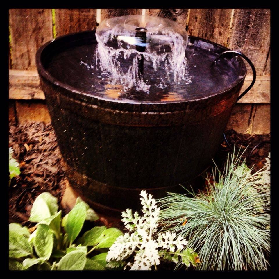 Pin On Gardening