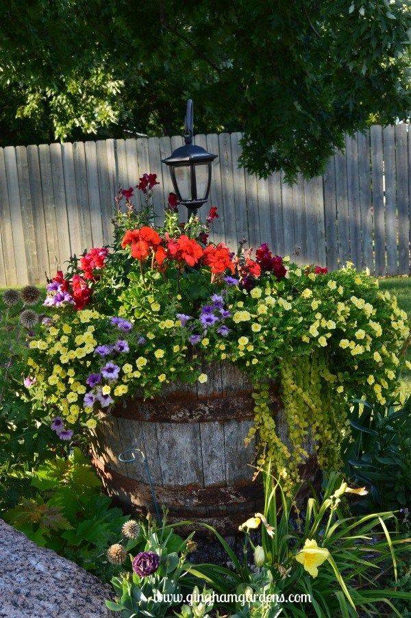 Whiskey Barrel Fountain And Pond Plants