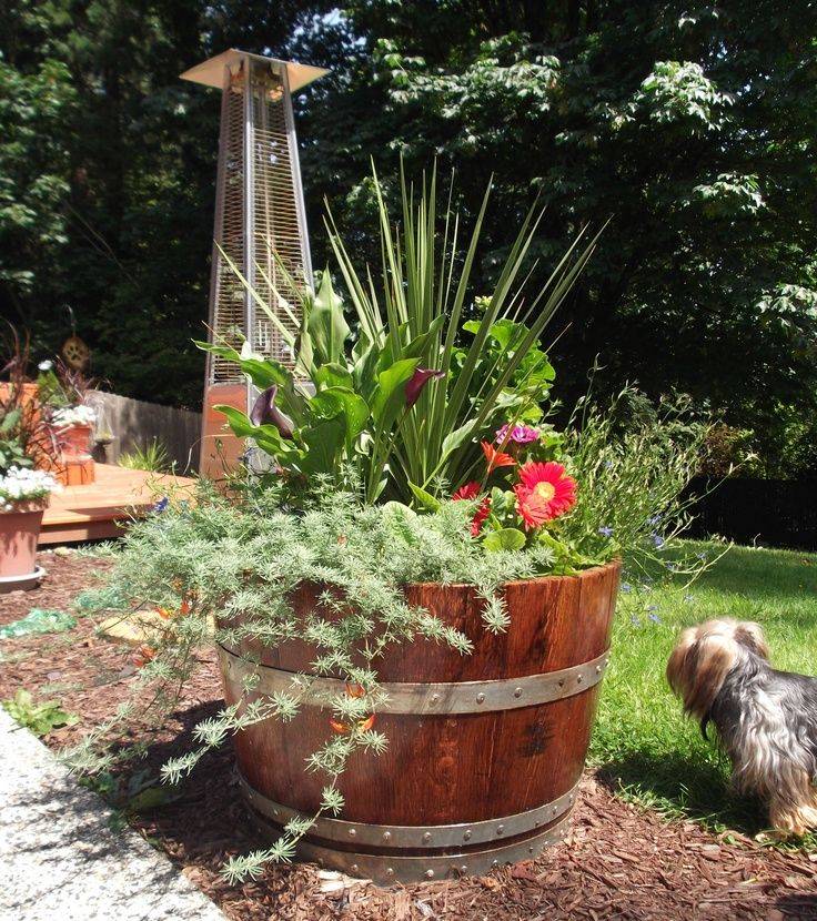 Wildly Whimsical Barrel Planter Ideas