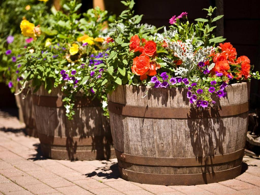 Best Vintage Garden Decor Ideas