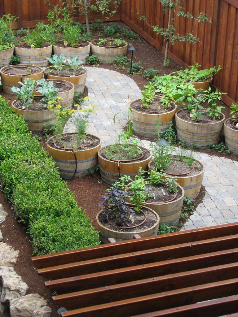 Vertical Gardening Barrel Garden Ideas