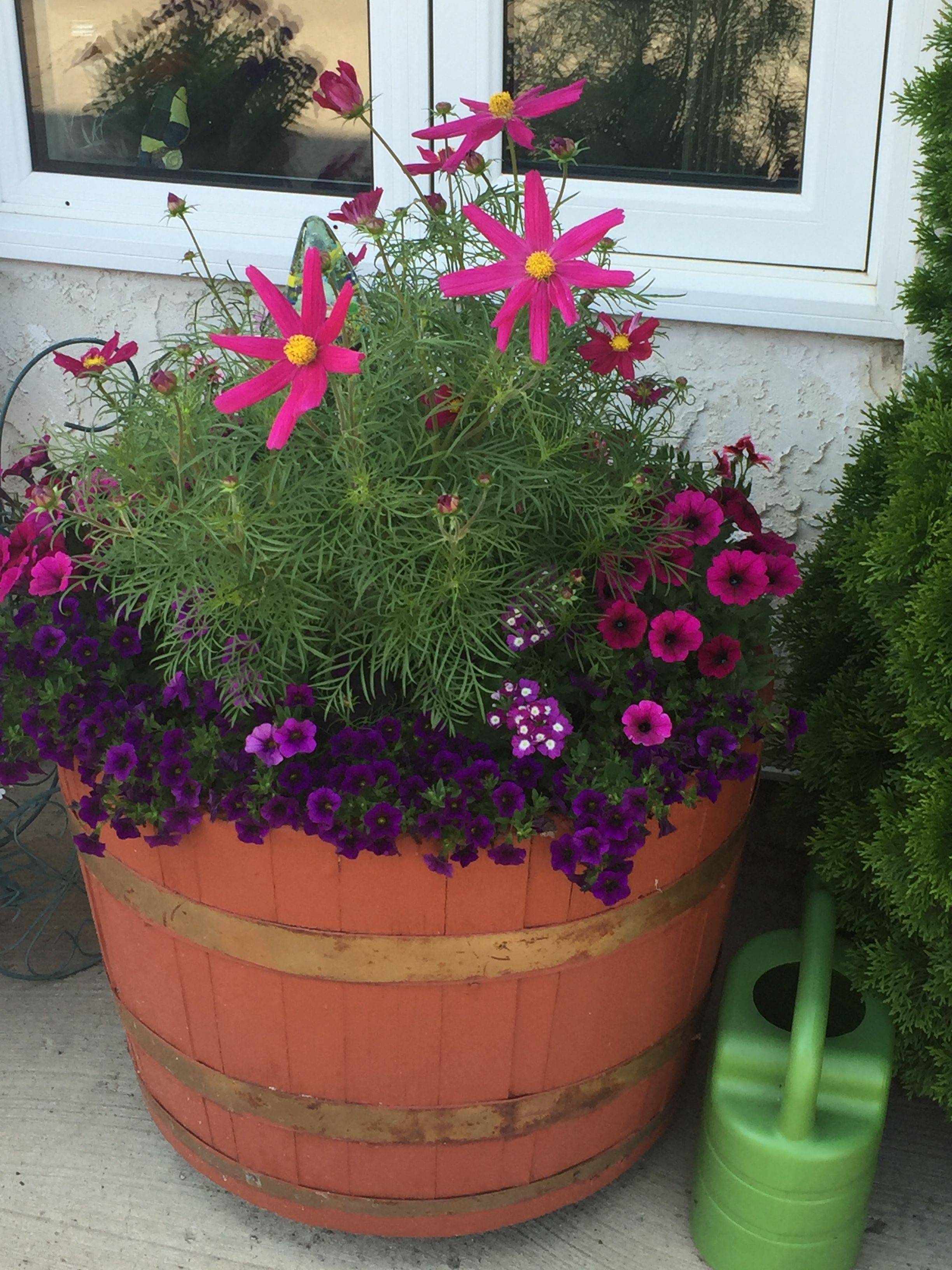 Wine Barrel Garden