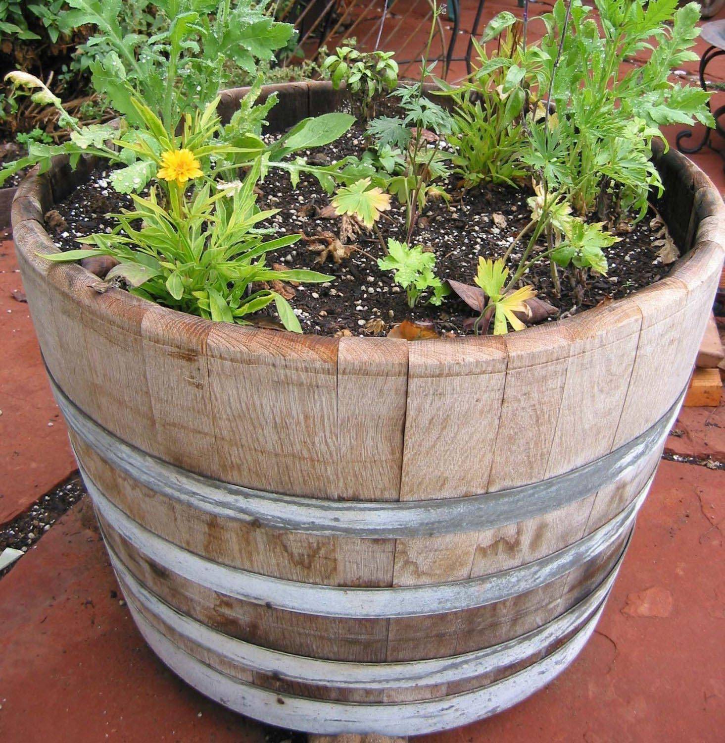 Wine Barrel Garden