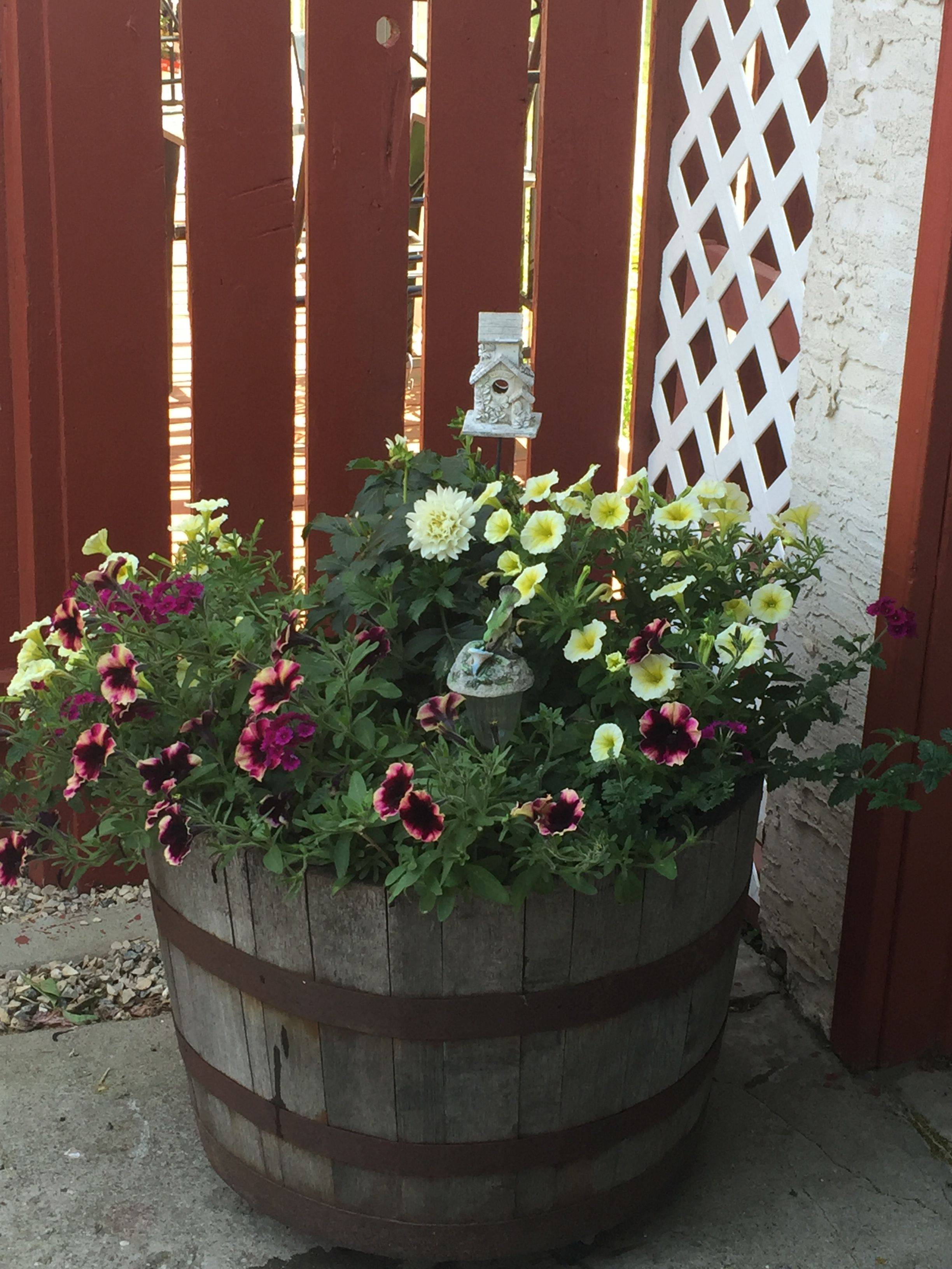 Wine Barrel Garden Ideas