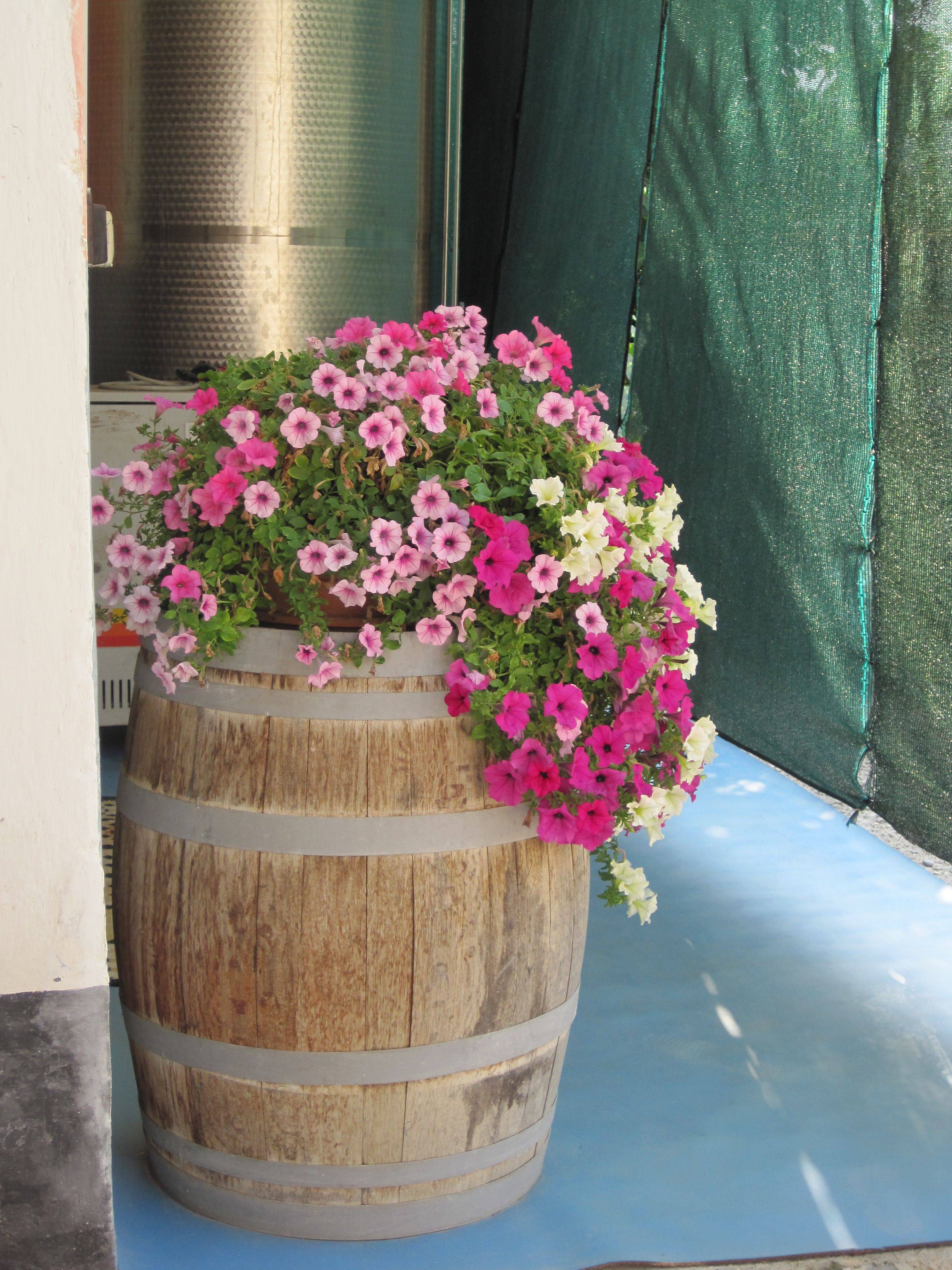 Wine Barrel Garden Ideas