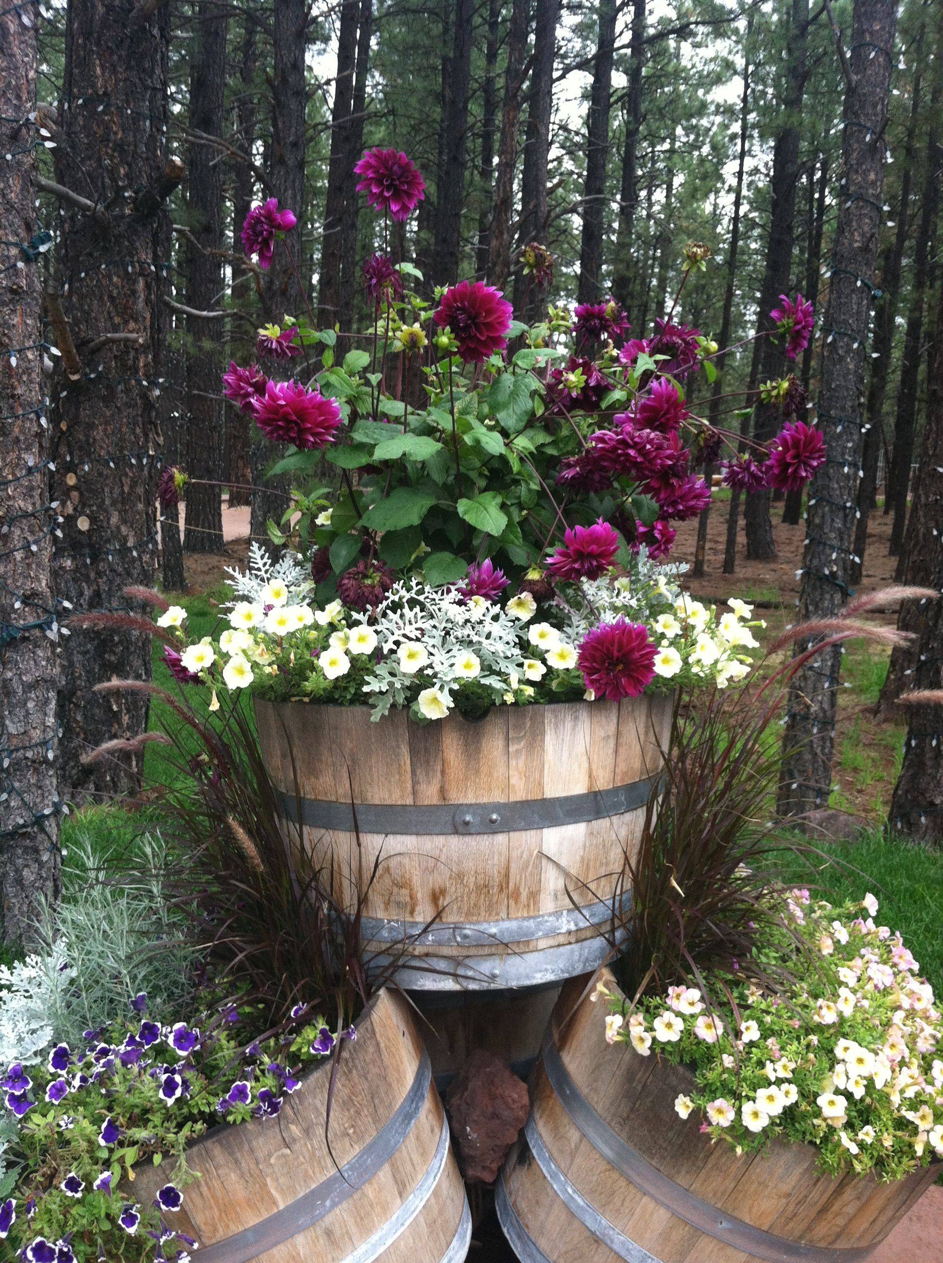Wine Barrel Planter