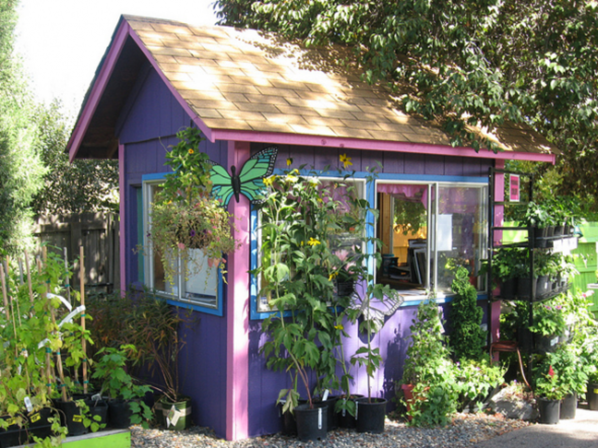 The Shabby Chic Shed