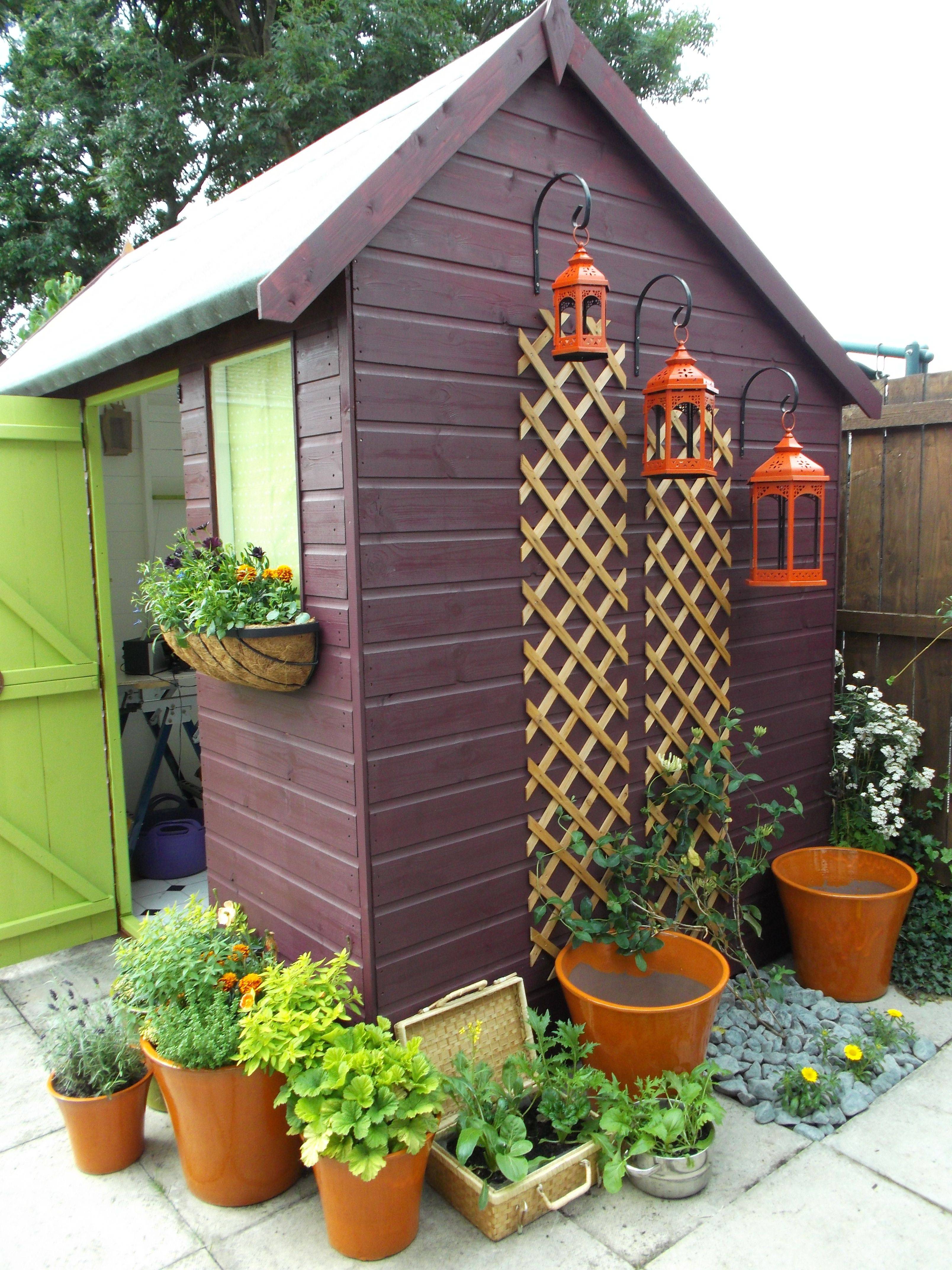 Purple Pop Cottage Garden