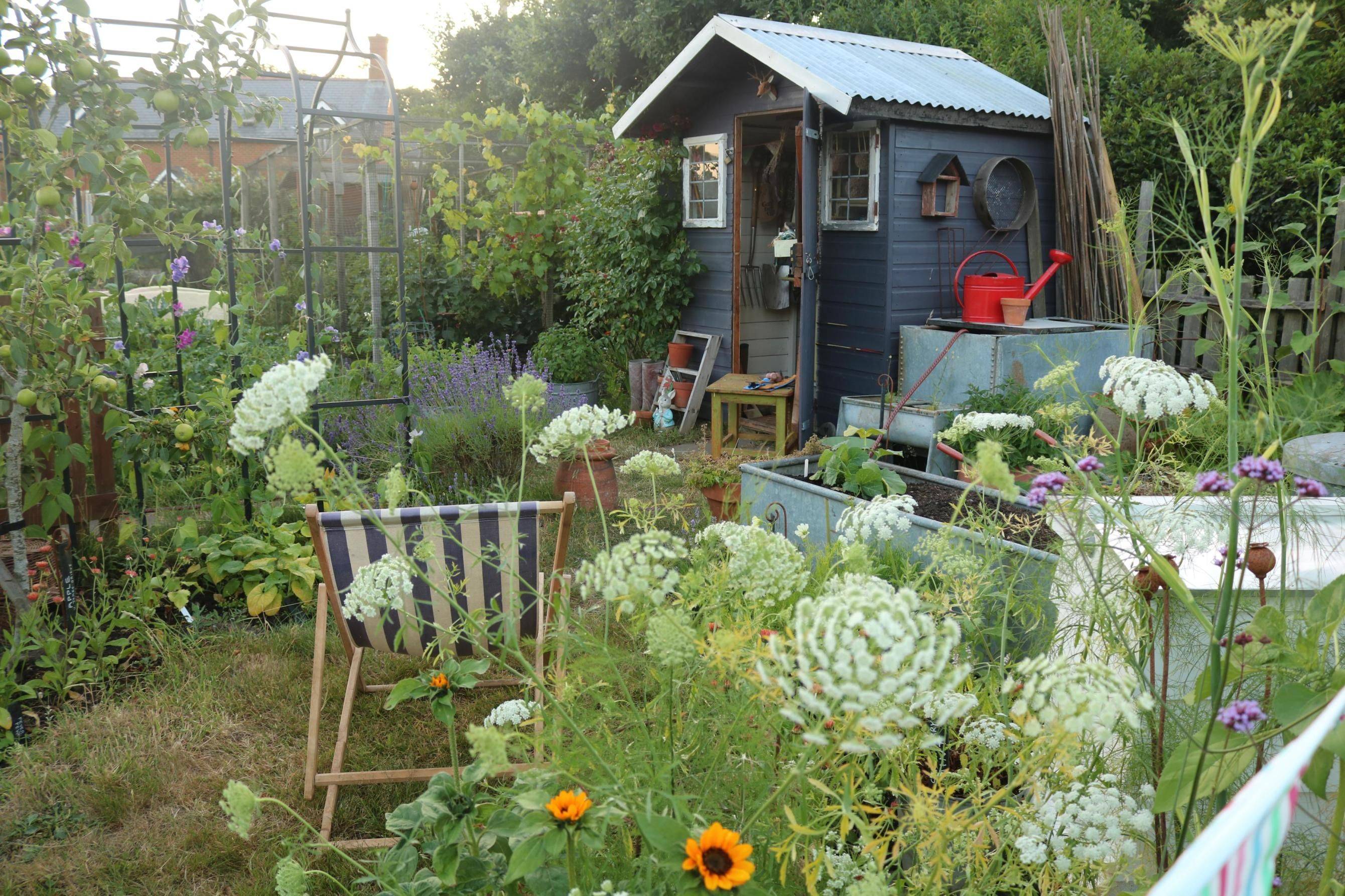 The Little Purple Potting Shed