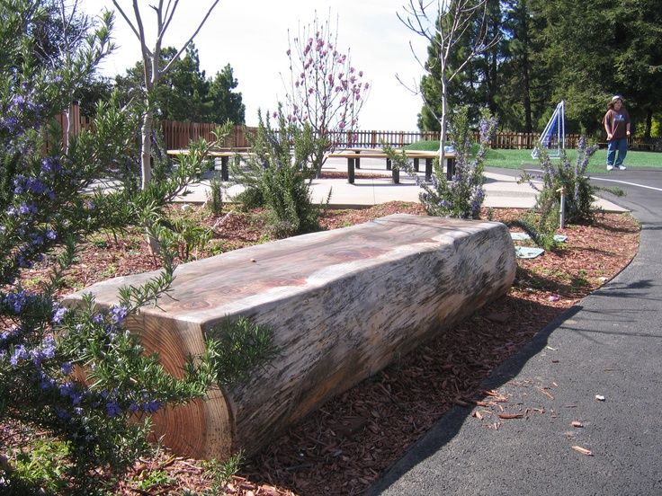 The School Garden
