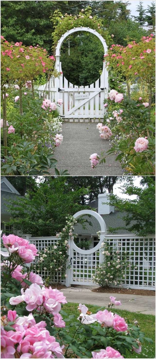 Decor Ideas