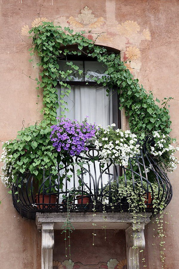 Vertical Balcony Garden Ideas