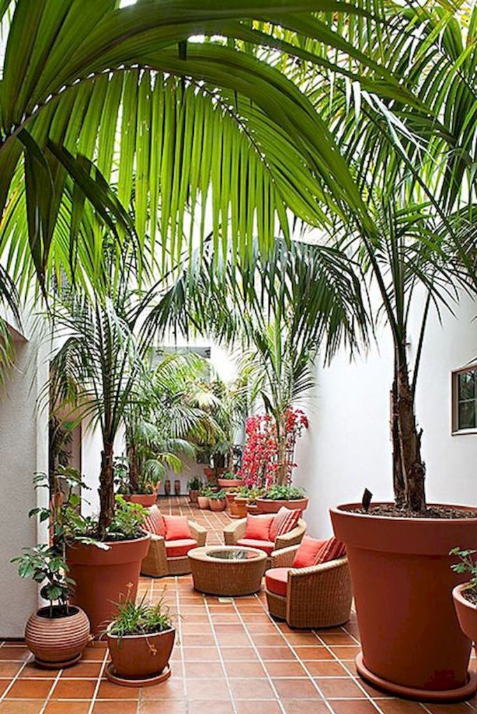 Tropical Backyard Landscaping