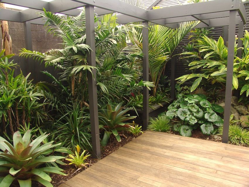 Patio Ideas Tropical Outdoor Furniture