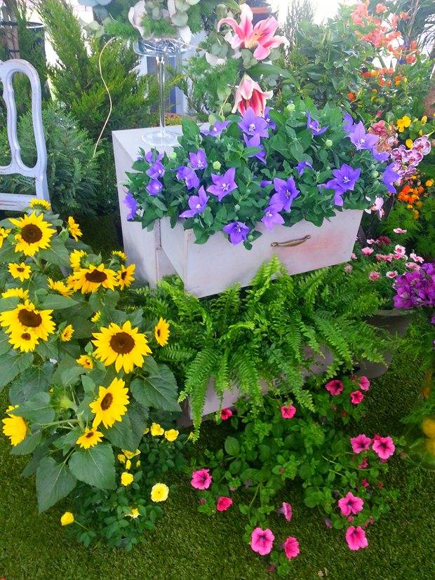 Creative And Inspiring Garden Art