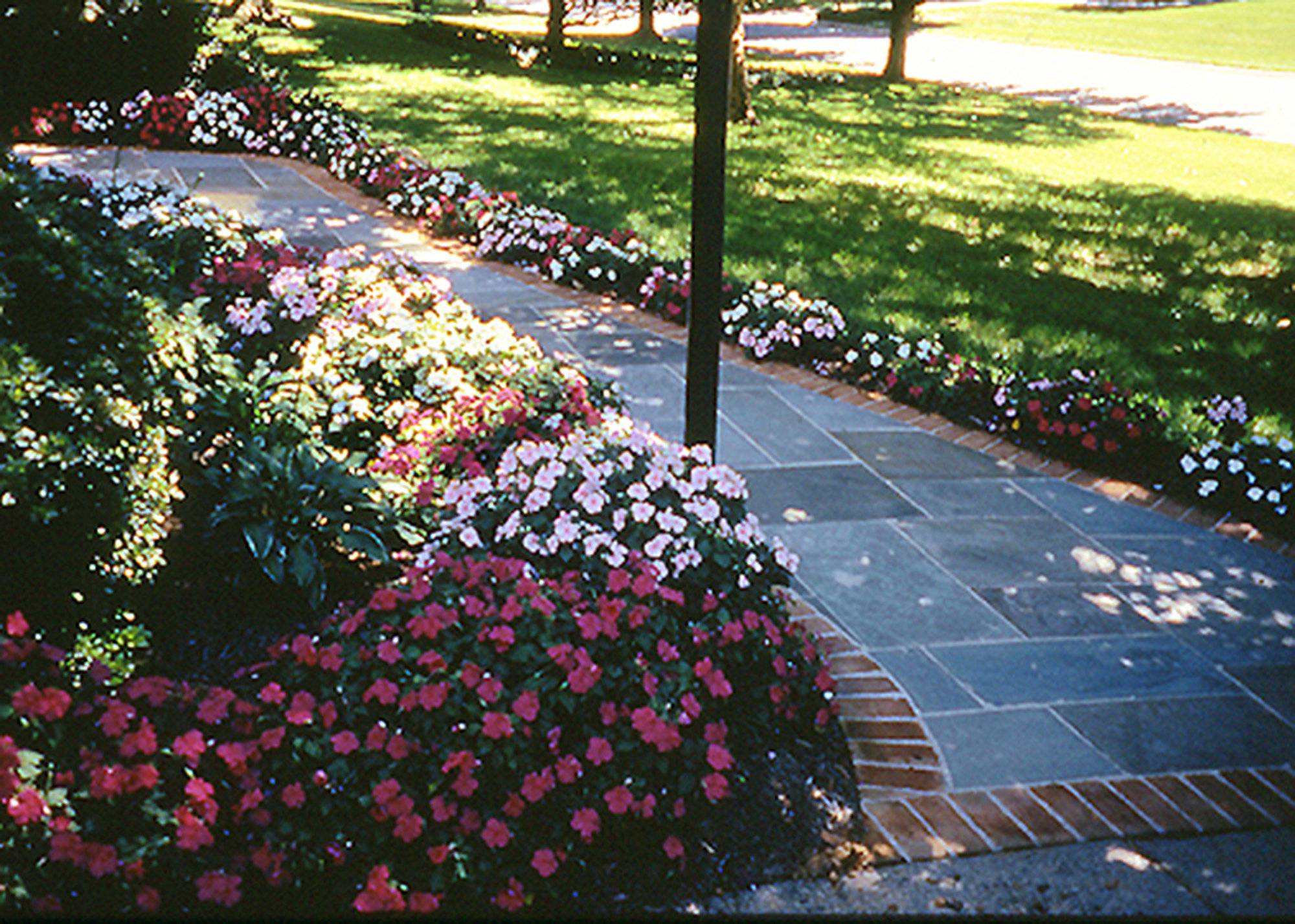 Fullsun Perennial Garden Design