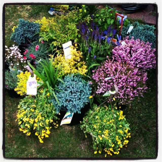 Perennial Garden Plans