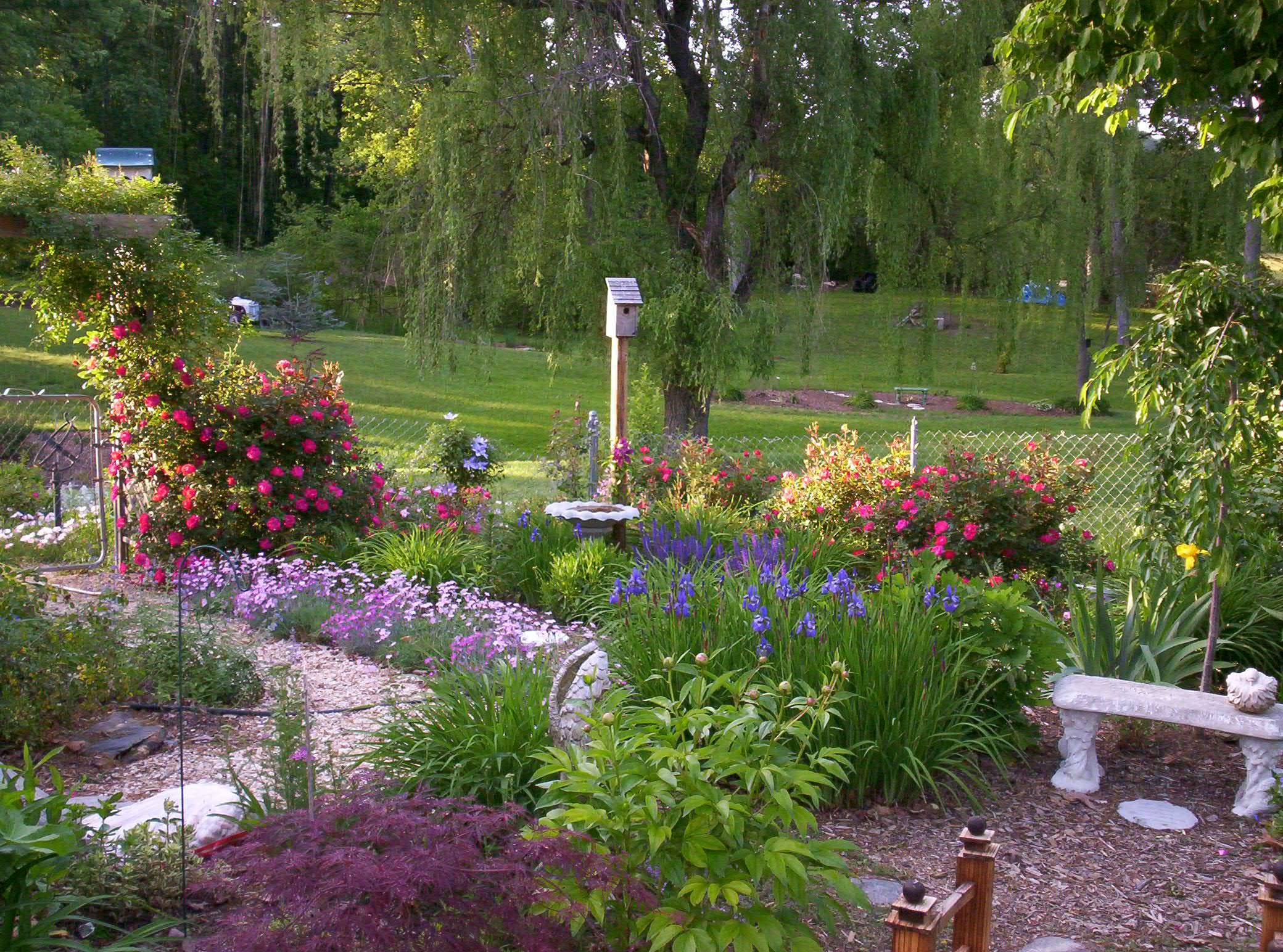 My Fullsun Perennial Gardens