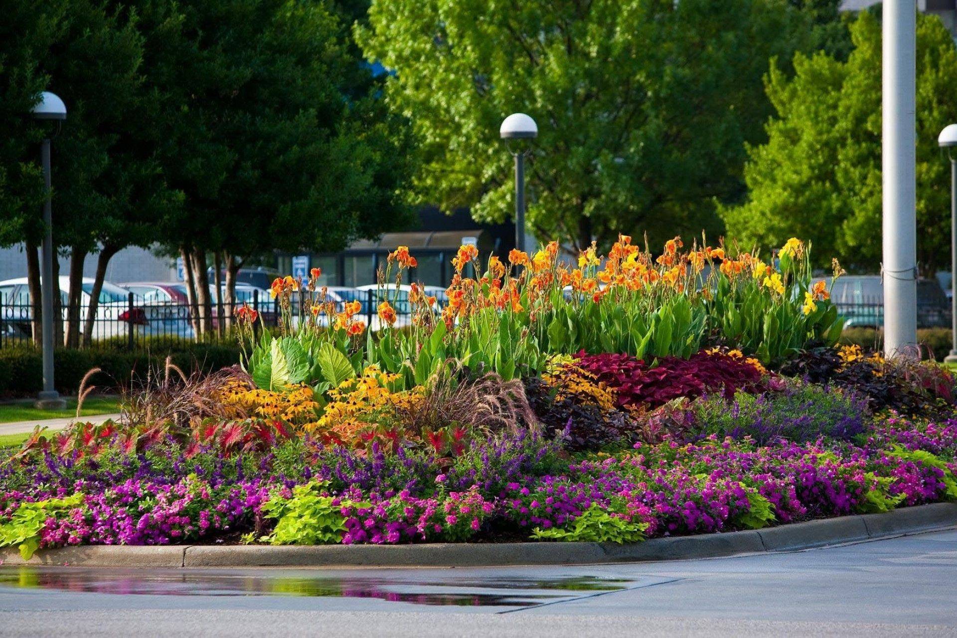 Designing Perennial Combinations Hgtv