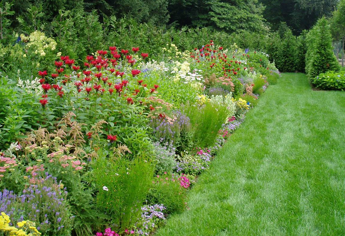 Garden Designs Foundation Shrubs