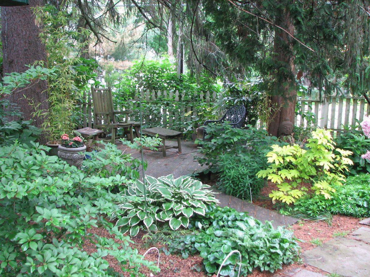 16 Shade Garden Design Zone 4 Ideas You Should Look SharonSable