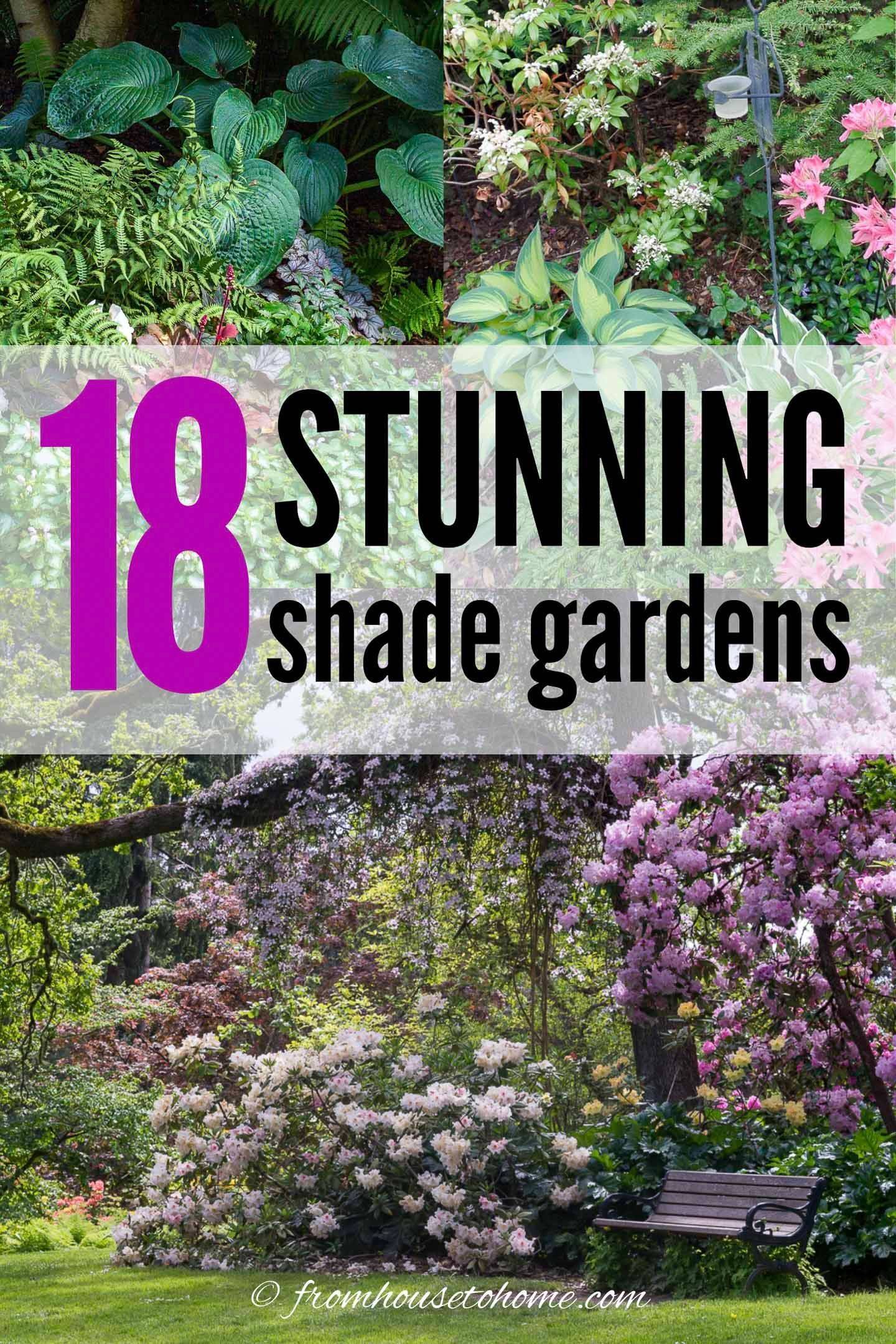 Gardendesign Permaculture Gardening