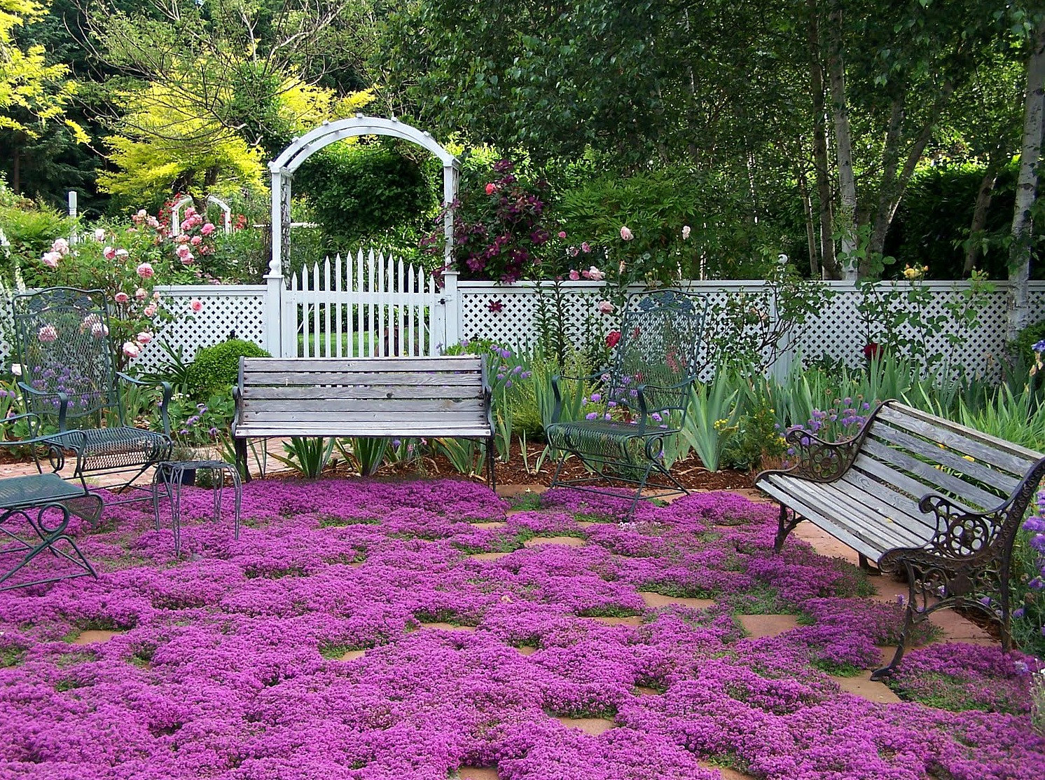 Astonishing Shade Garden Design Zone