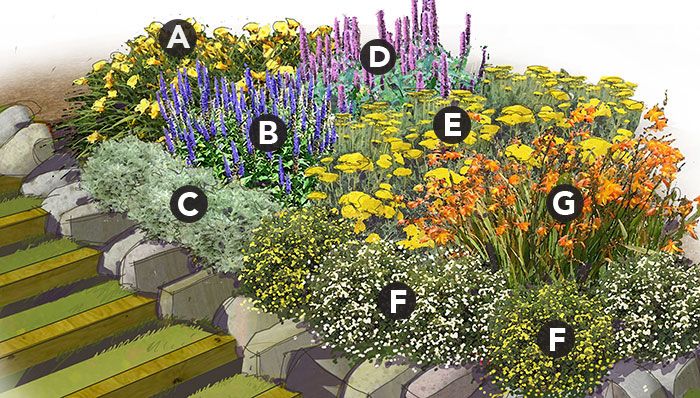 20 Perennial Garden Plans Zone 7 Ideas To Consider | SharonSable