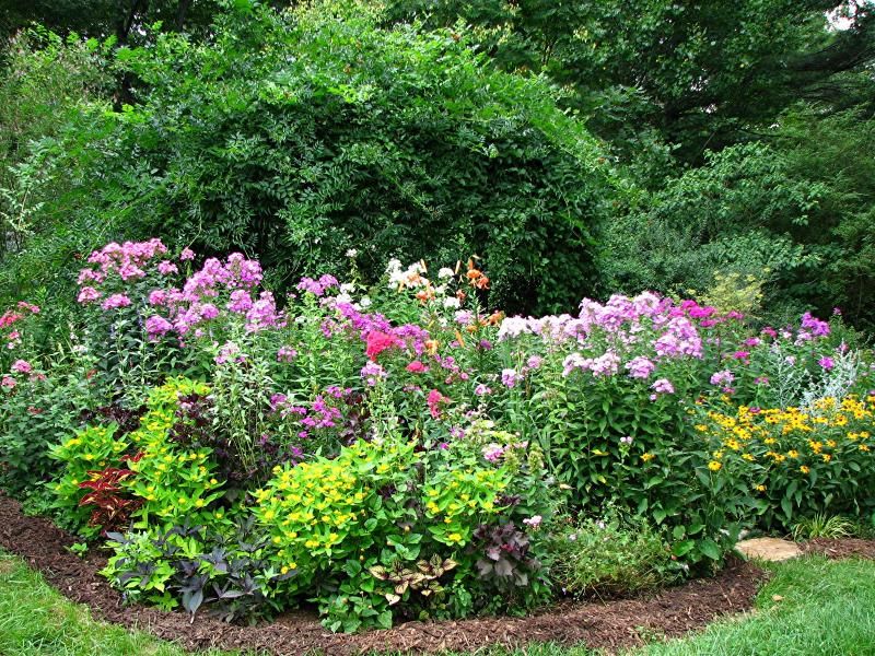Garden Plan Zone
