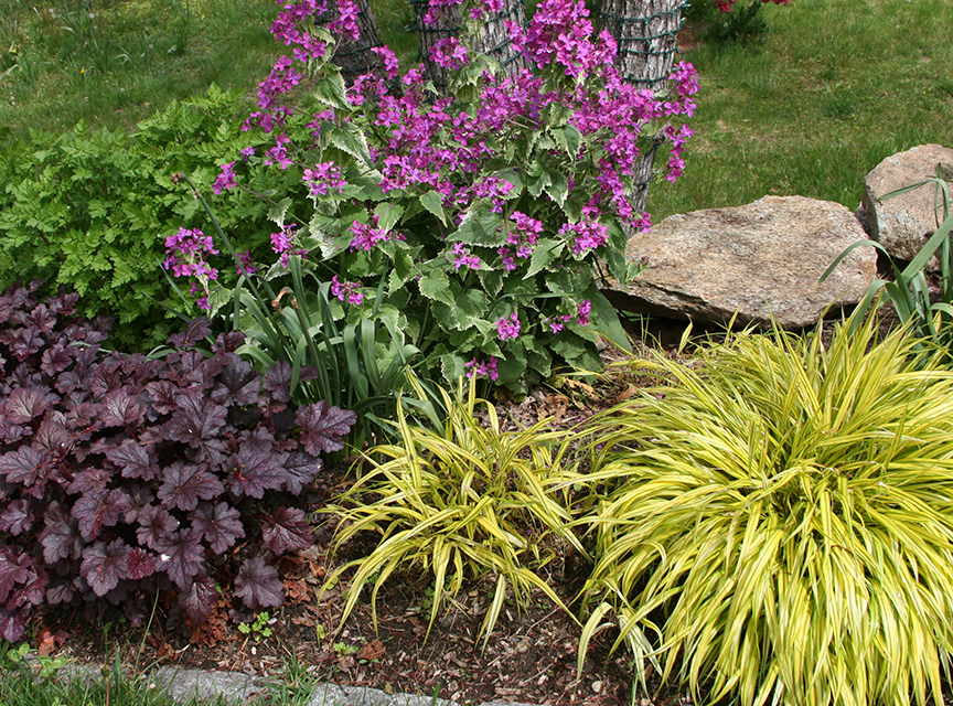 Your Beautiful Garden