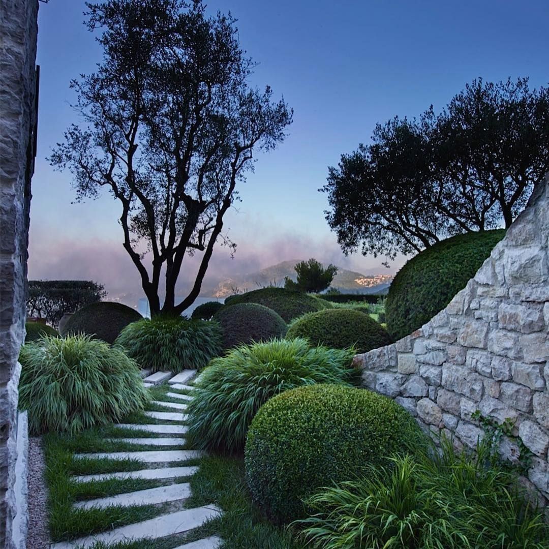 Full Sun Plants