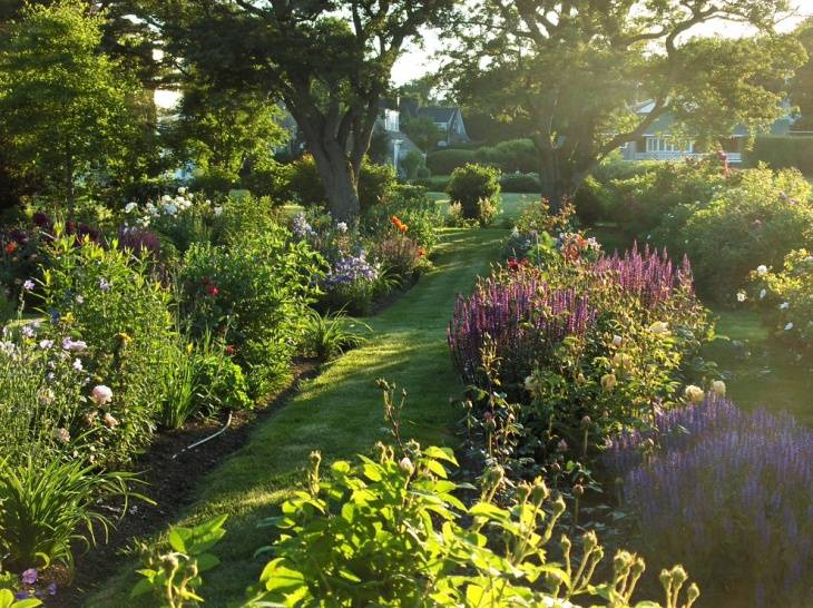 Landscape Design Combinations Angie The Freckled Rose